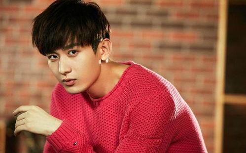 娱乐大爆料之成毅,娱乐大爆料中的璀璨星辉